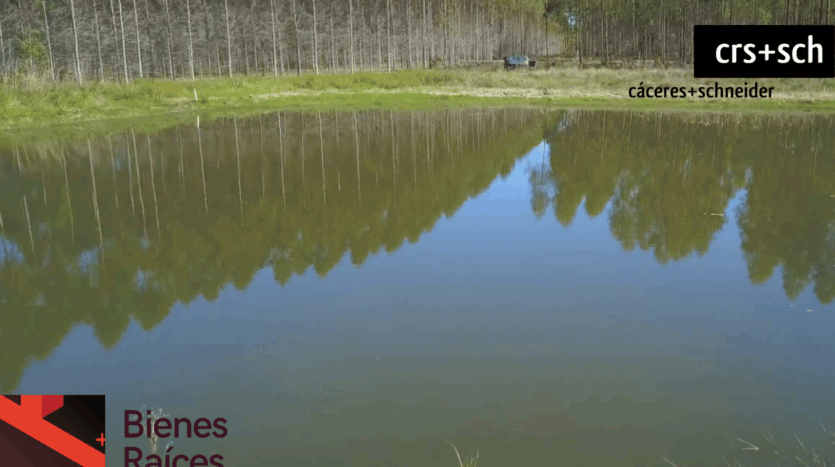 Propiedades Rurales Forestales en Paraguay